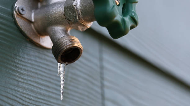 Best Sewer Line Repair  in Taylorsville, KY